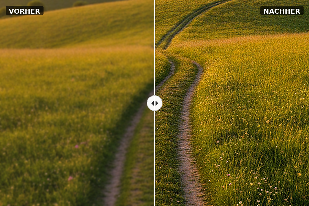 Vorher/Nachher-Vergleich: Ausgangsbild links, mit Preset und dosierter Deckkraft bearbeitetes Bild rechts in SHARPEN projects 6 Pro
