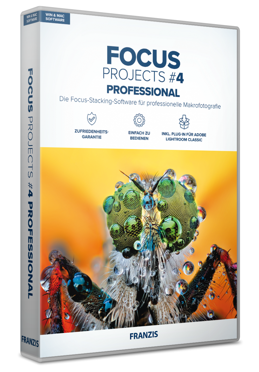 FOCUS projects 4 professional