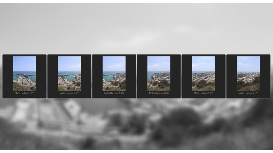 PANORAMA projects professional