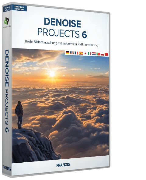 DENOISE projects 6