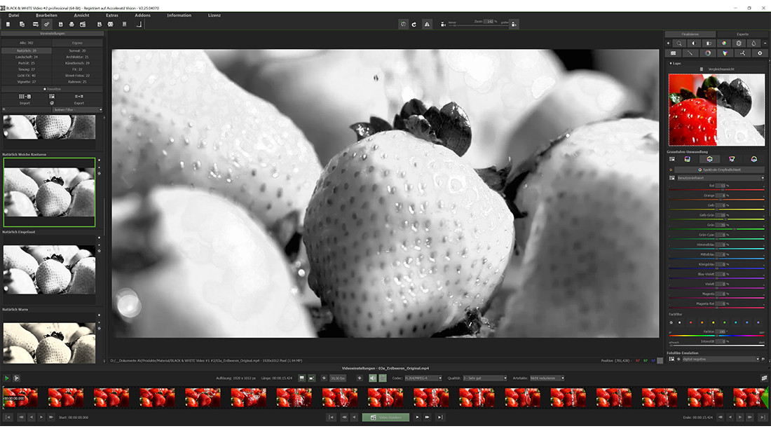 BLACK & WHITE Video 2 professional