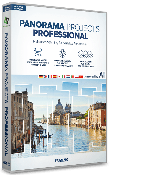 PANORAMA projects professional