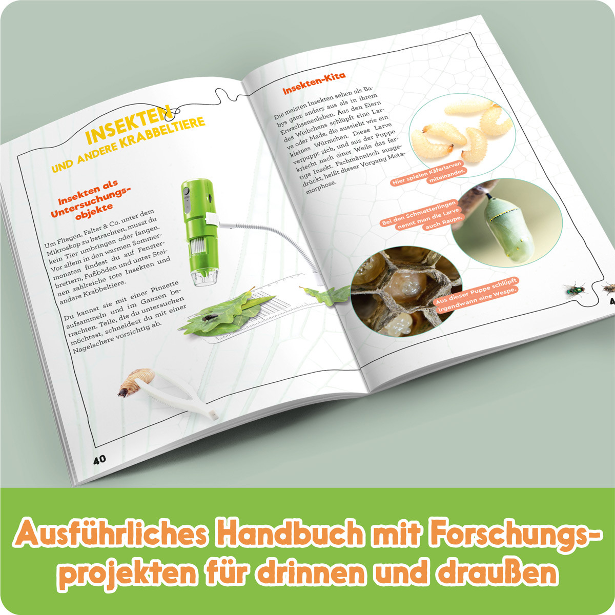 GEOLINO - Digitales Mikroskop