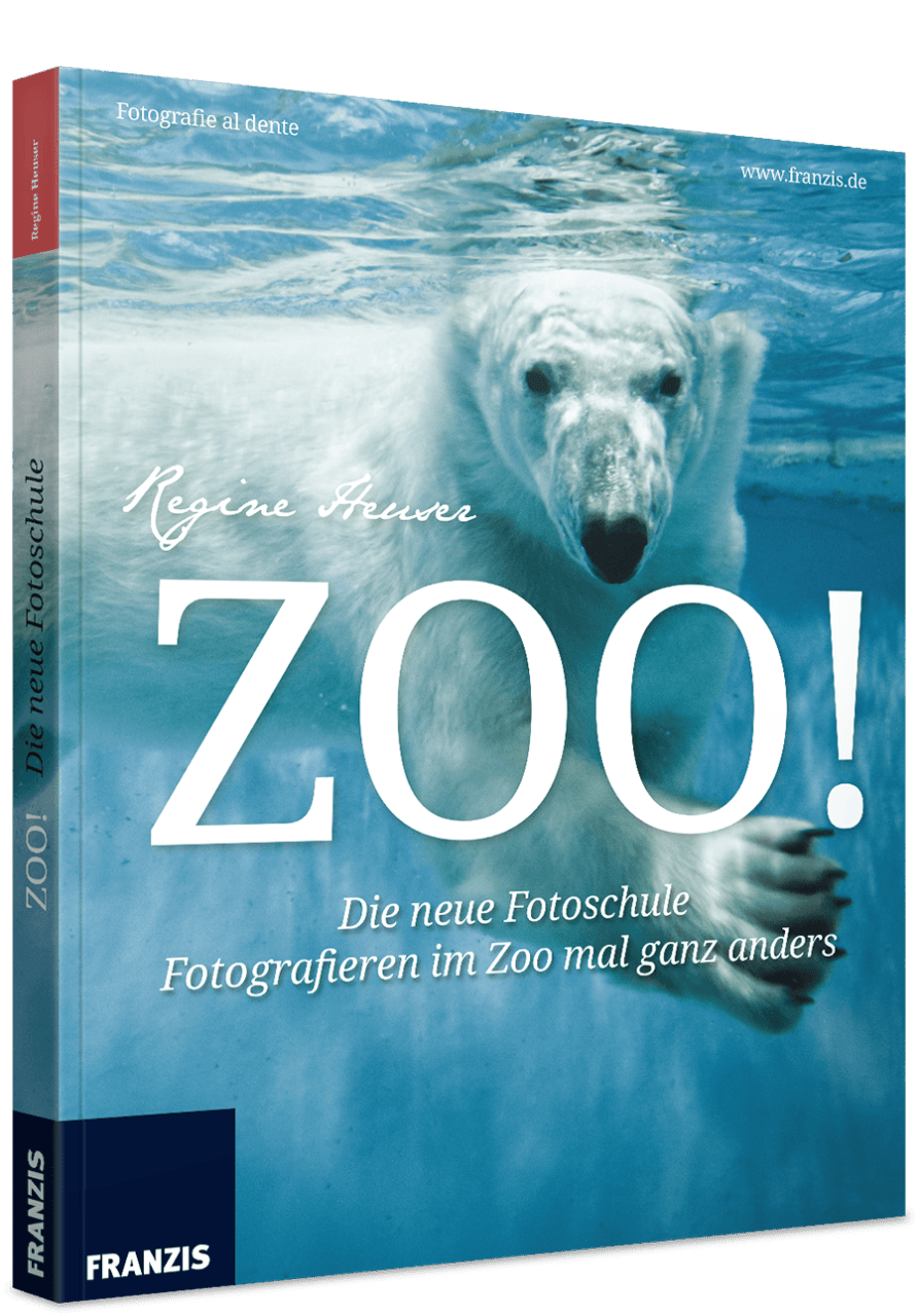 ZOO!