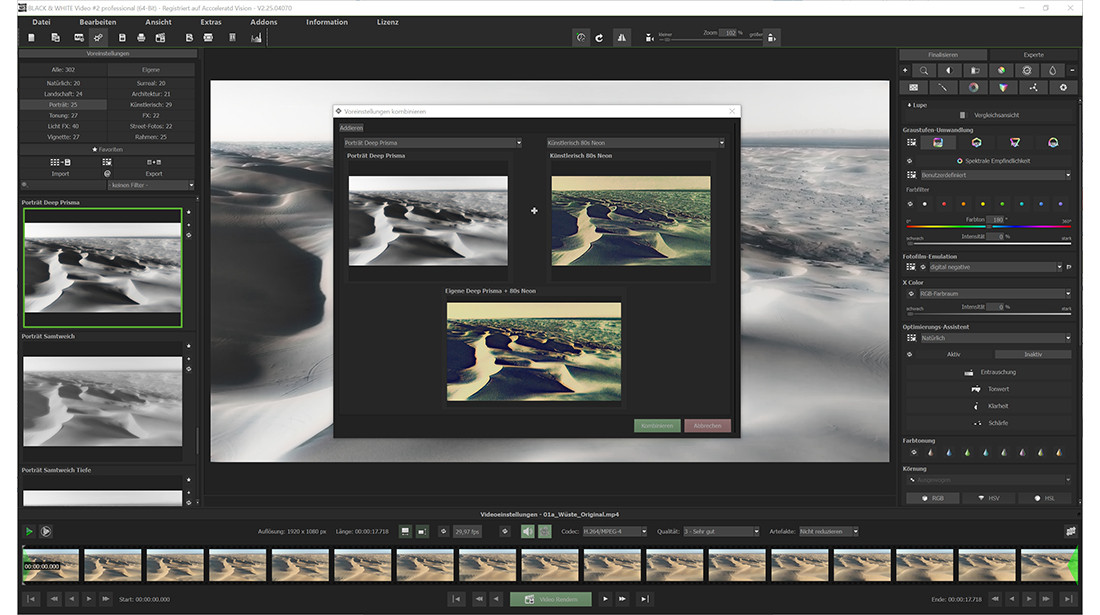 BLACK & WHITE Video 2 professional