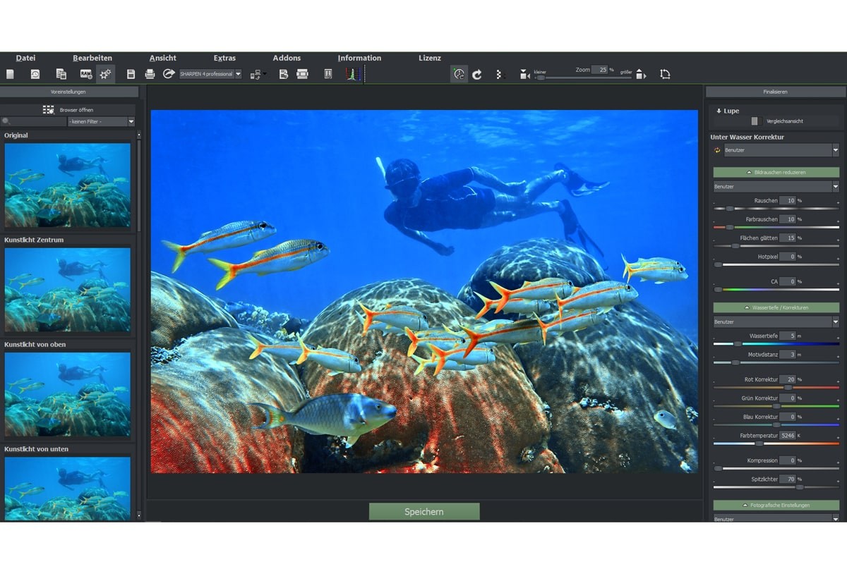 DIVE #1 professional