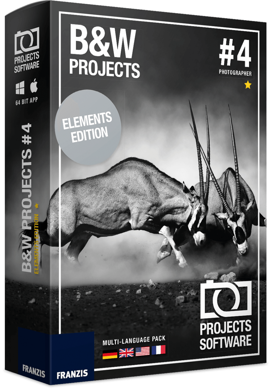 BLACK & WHITE projects 4 elements