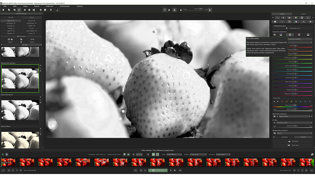 BLACK & WHITE Video 2 professional