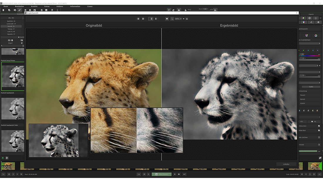 BACK % WHITE Video 2