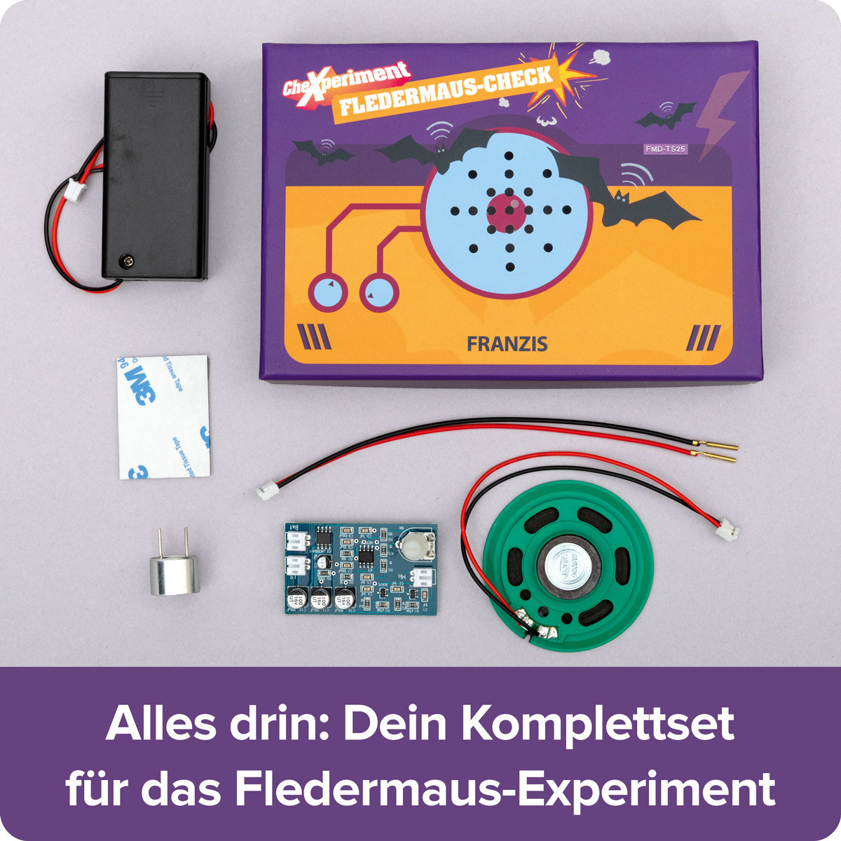 CheXperiment- Fledermaus -Check