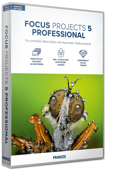 FOCUS projects 5 professional