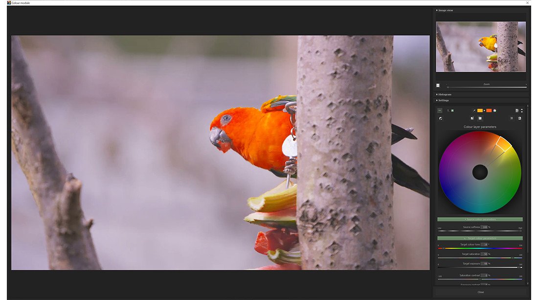 COLOR Video 2 professional