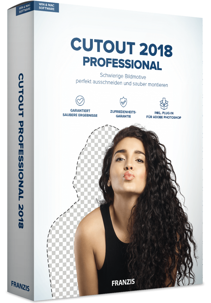 CutOut 2018 professional