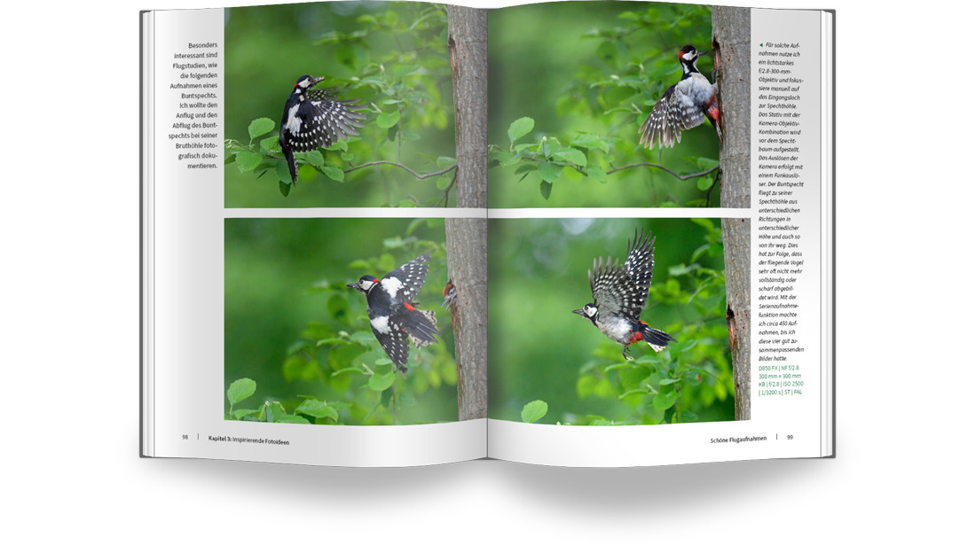 E-Book-Bundle Masterclass Natur- und Tierfotografie