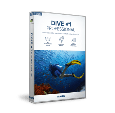 Image of DIVE #1 professional