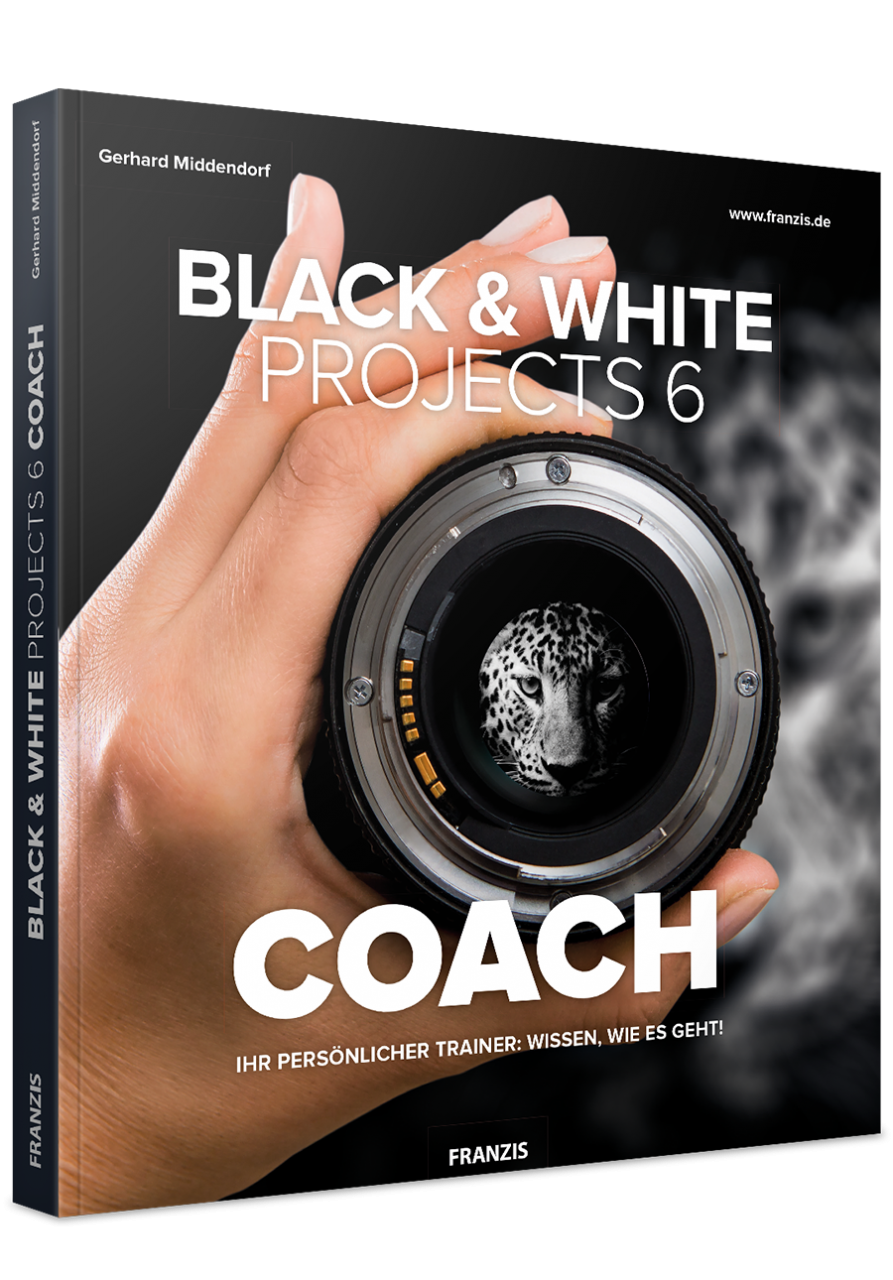 BLACK & WHITE projects 6 Coach