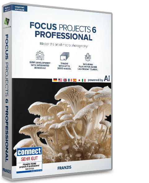 FOCUS projects 6 professional