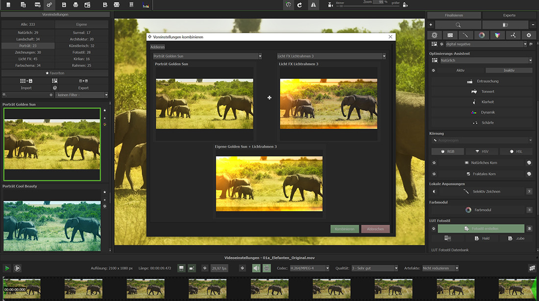 COLOR Video 2 professional
