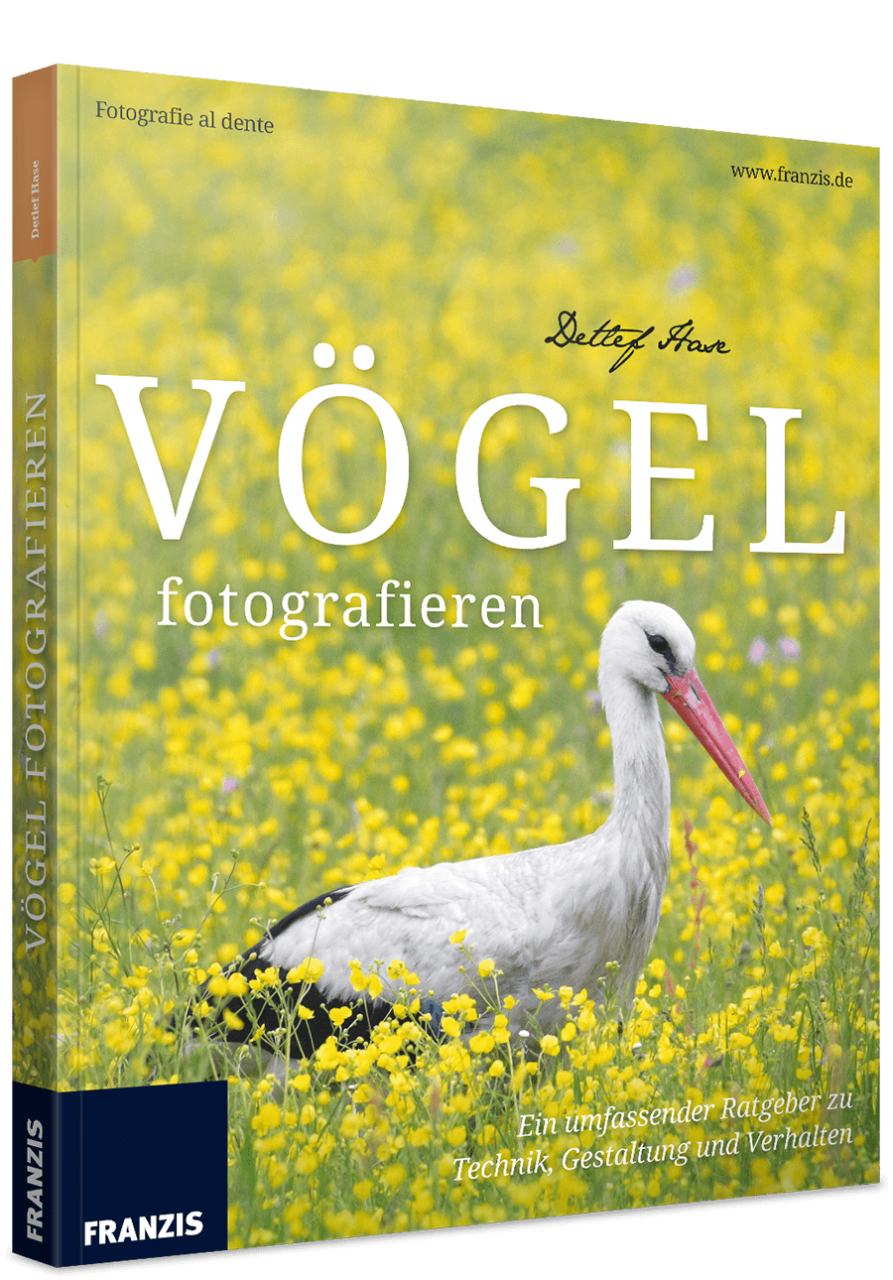 Vögel fotografieren