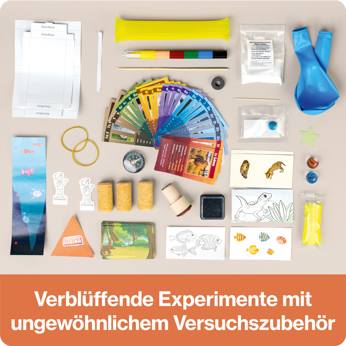 Checkerin Marina Adventskalender|