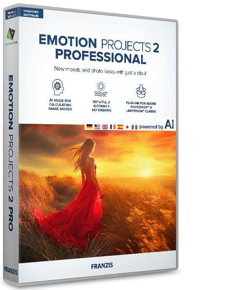 EMOTION projects 2 professional