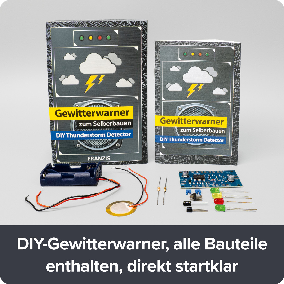 Gewitterwarner zum Selberbauen