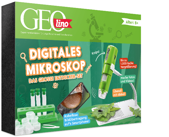 GEOLINO - Digitales Mikroskop