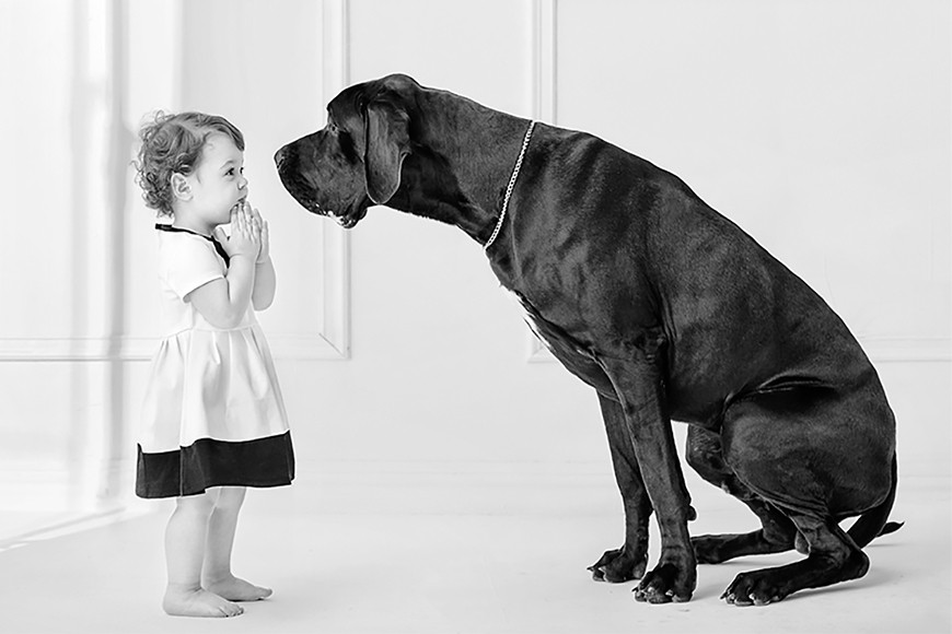 BLACK & WHITE projects 5 Plug-in für Photoshop