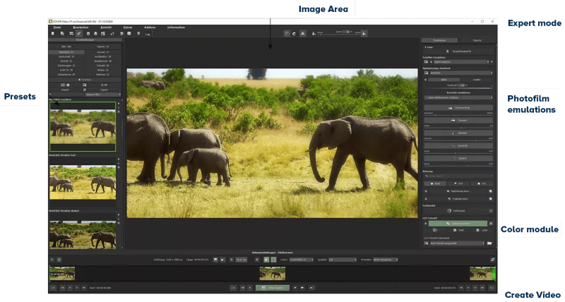 COLOR Video #1 professional