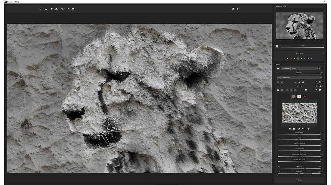 BLACK & WHITE Video 2 professional