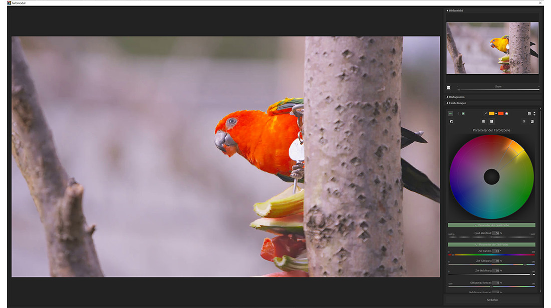 COLOR Video 2 professional