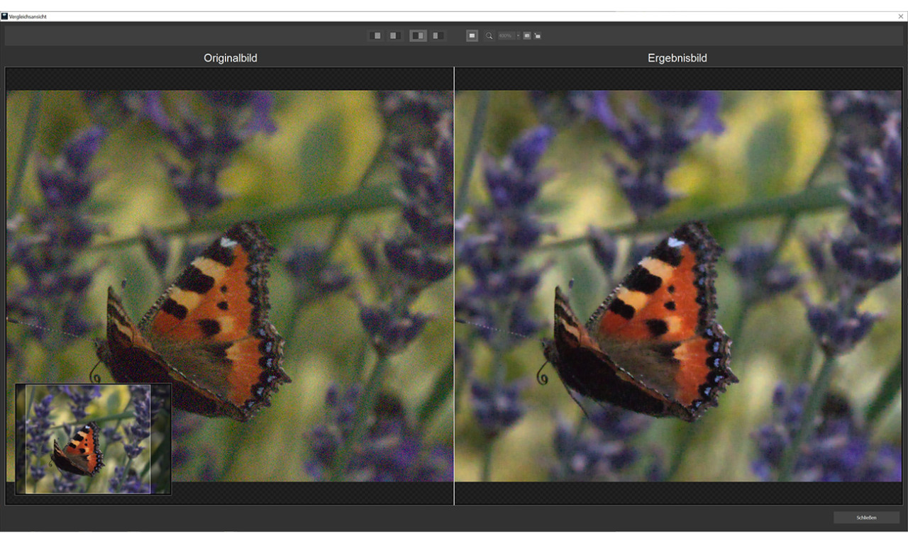 DENOISE projects 6 professional