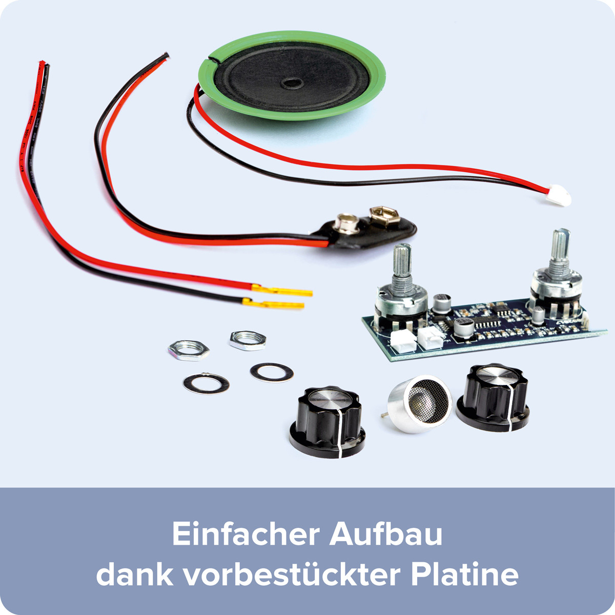 Fledermausdetektor zum Selberstecken