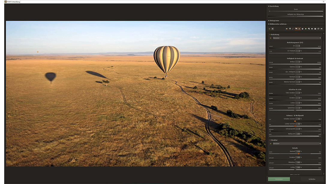 ANALOG Video 2 professional