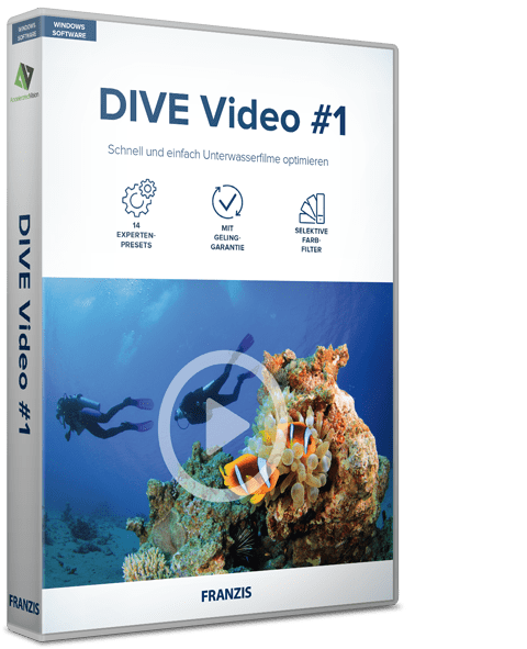 DIVE Video #1