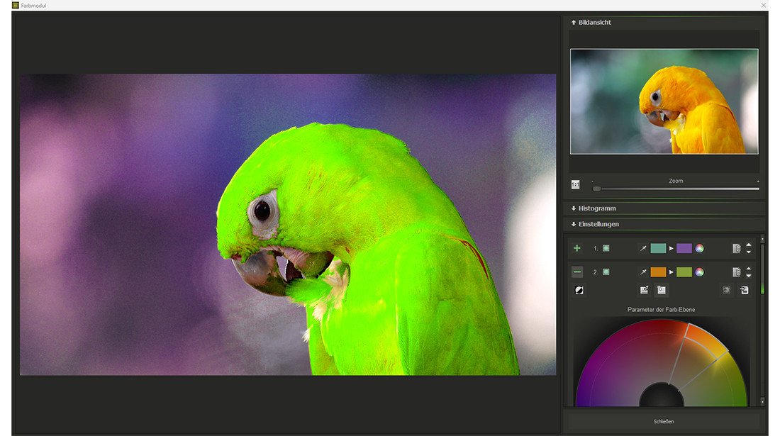 ZOOM Video 3 professional