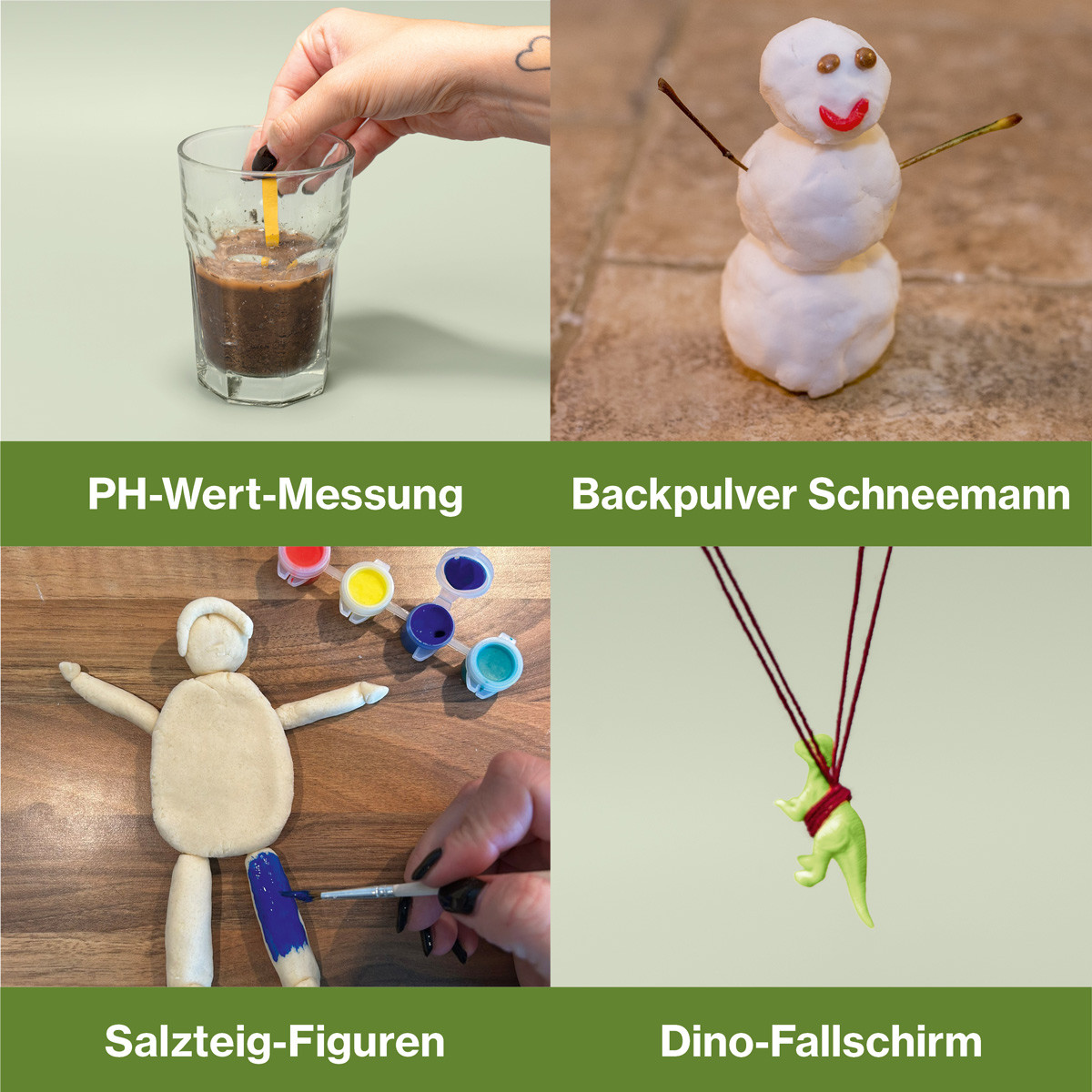 CheXperiment Adventskalender Forsche und entdecke mit Checker Tobi