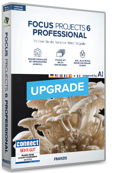 FOCUS projects 6 professional - Upgrade
