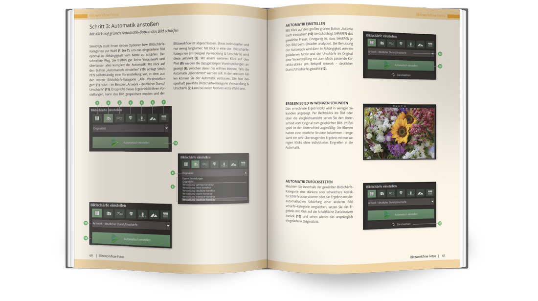 SHARPEN projects DELUXE Bundle