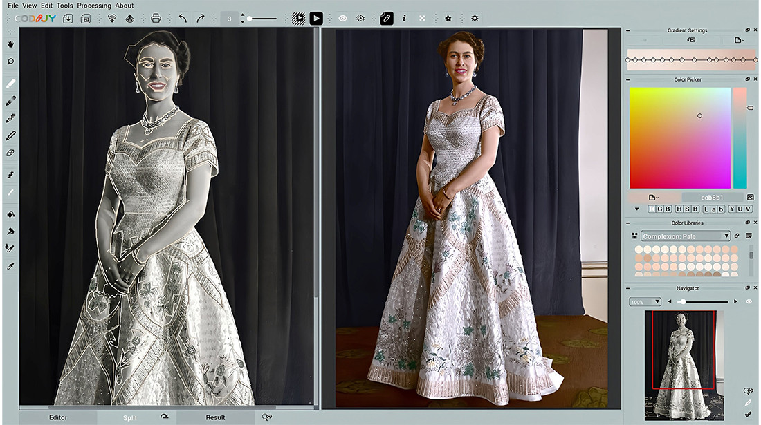 Fotos einfärben Pro 4.2