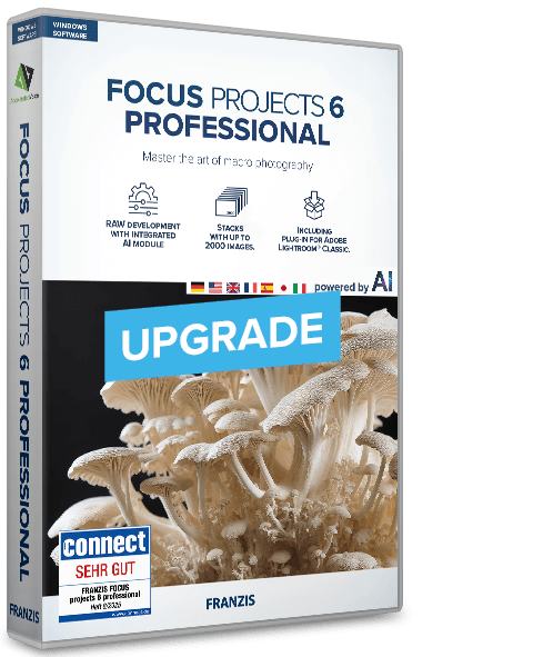 FOCUS projects 6 professional - Upgrade