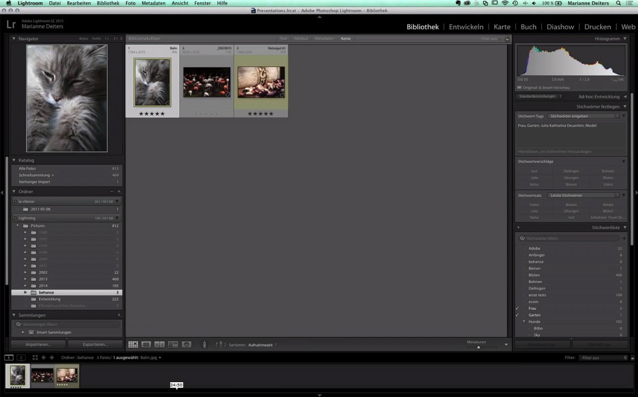 Webinar-Workshops: Lightroom-Grundlagen - Bundle