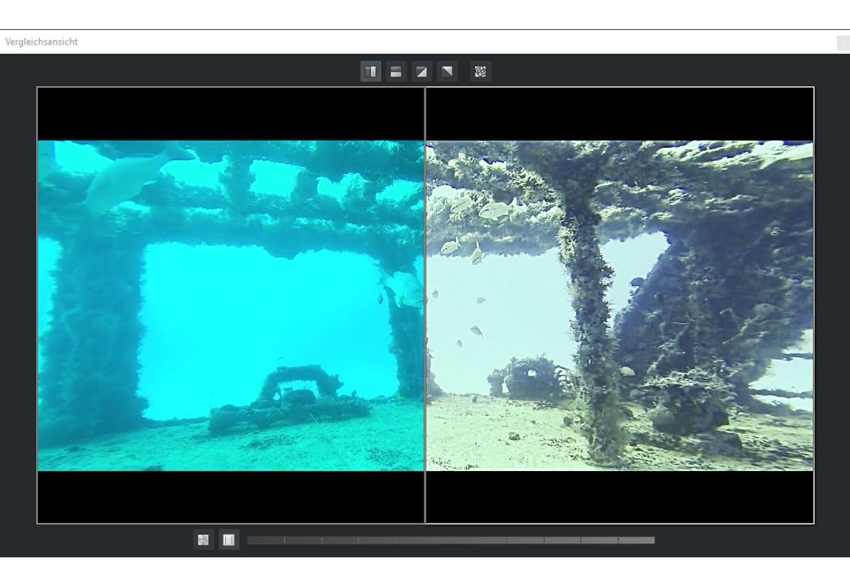 DIVE Video #1 professional