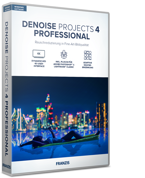 DENOISE projects 4 professional