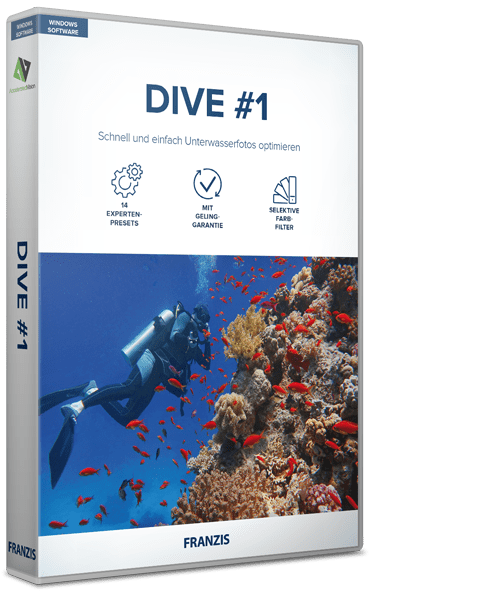 DIVE #1