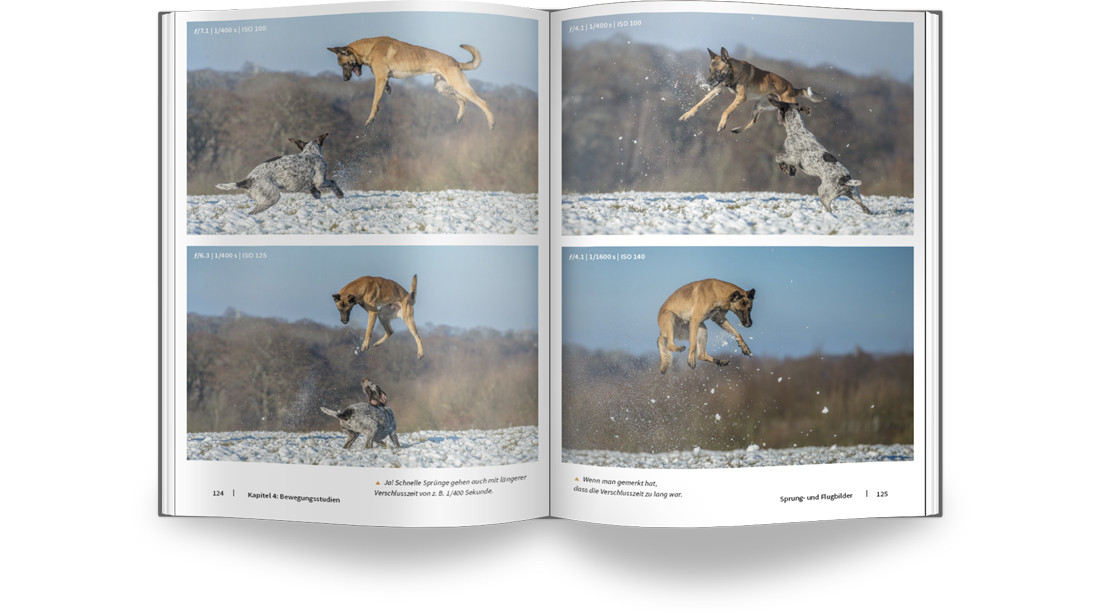 E-Book-Bundle Masterclass Natur- und Tierfotografie