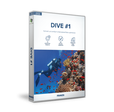 Systemanforderungen und Installation von DIVE #1 auf einem Windows-PC