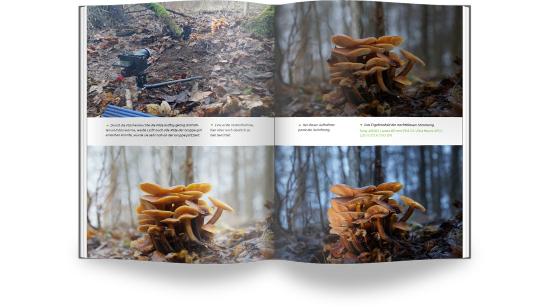 E-Book-Bundle Masterclass Natur- und Tierfotografie