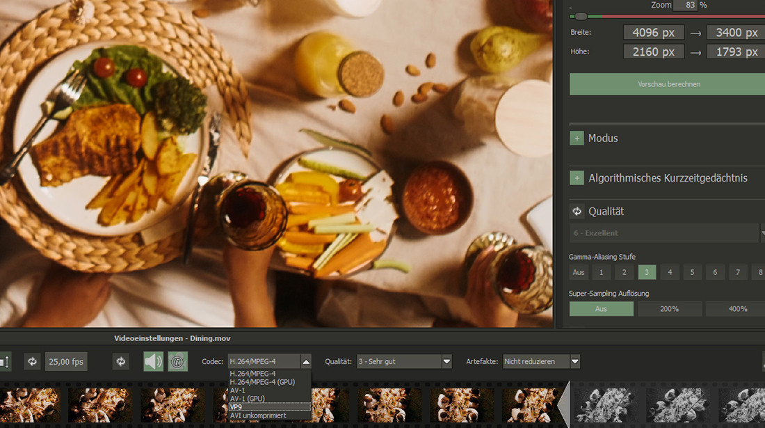 ZOOM Video 3 professional