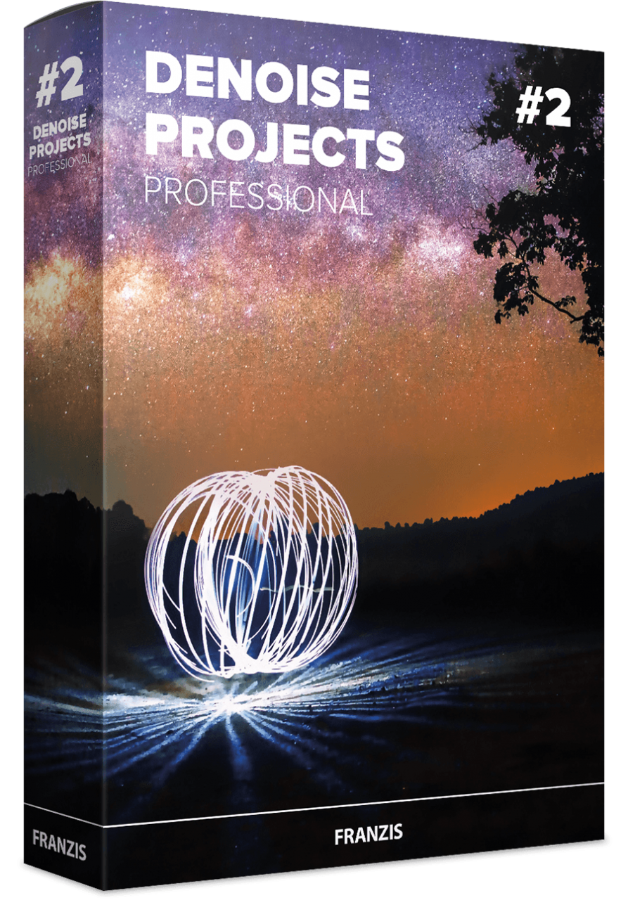 DENOISE projects 2 professional